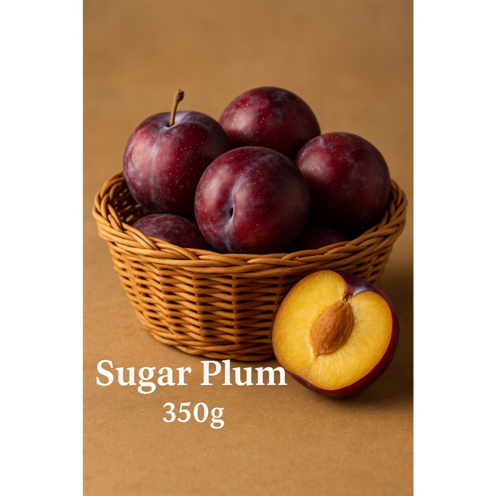 

BUAH SUGAR PLUM - SEGAR DAN KAYA NUTRISI