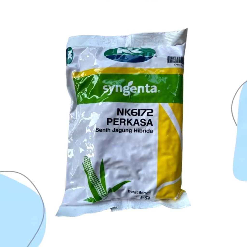Benih Jagung NK 6172 Perkasa