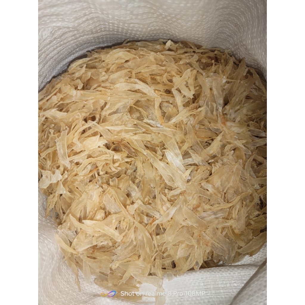 Lampung/Gelembung/Perut ikan/Hepio ikan Gulama 1kg