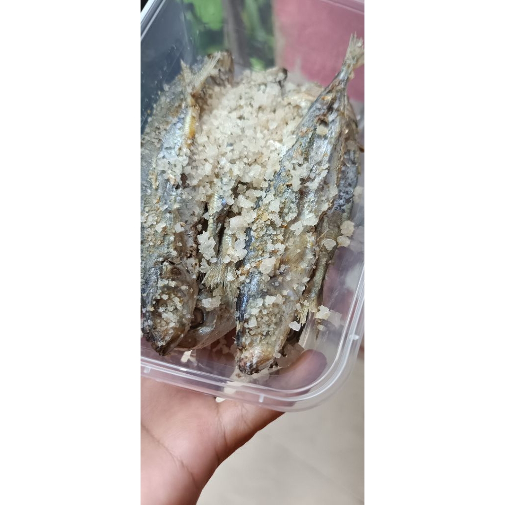 

pindang besek kemasan box