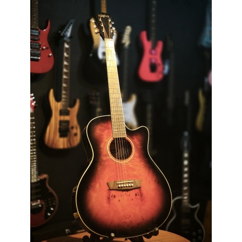 Washburn Guitar DFBACEB-U Akustik Elektrik Guitar Original