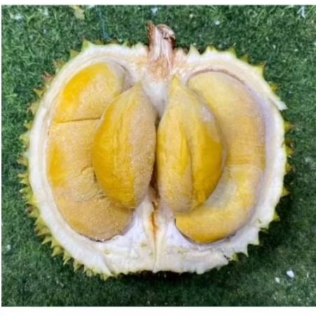

Buah durian blackthron nitrogen Malaysia super utuh durian beku blackthron 1pcs