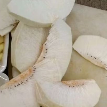 

Buah sukun kupas fresh sukun kupas 1kg