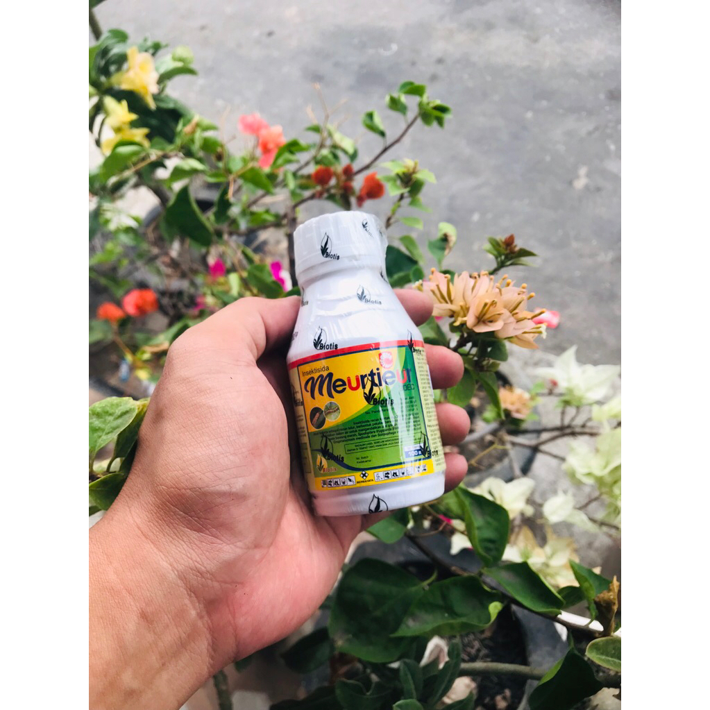 insektisida Meurtieur