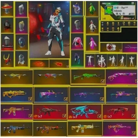 (Cek Deskripsi)====================jual baju anak murah jual juga akun ff terpercaya Skin Langka SG 