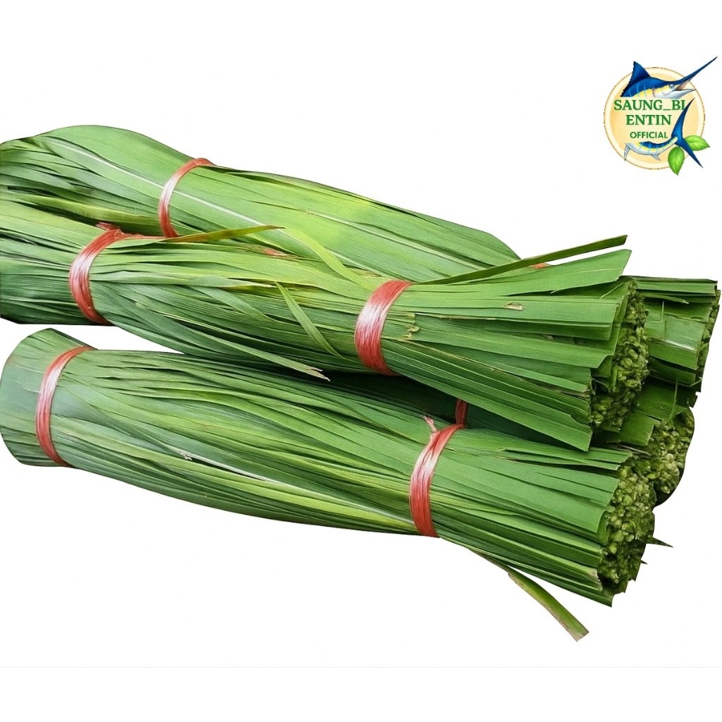 

Daun Alang Alang Segar Fress 1kg Bersih Herbal Alami Obat Batu Ginjal