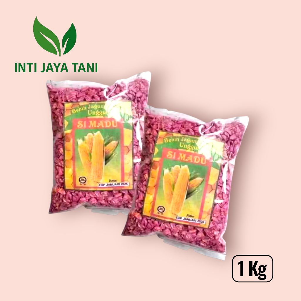 Bibit Jagung Manis Unggul Simadu Golden 1 Kg - Bibit Jagung Manis Exotic