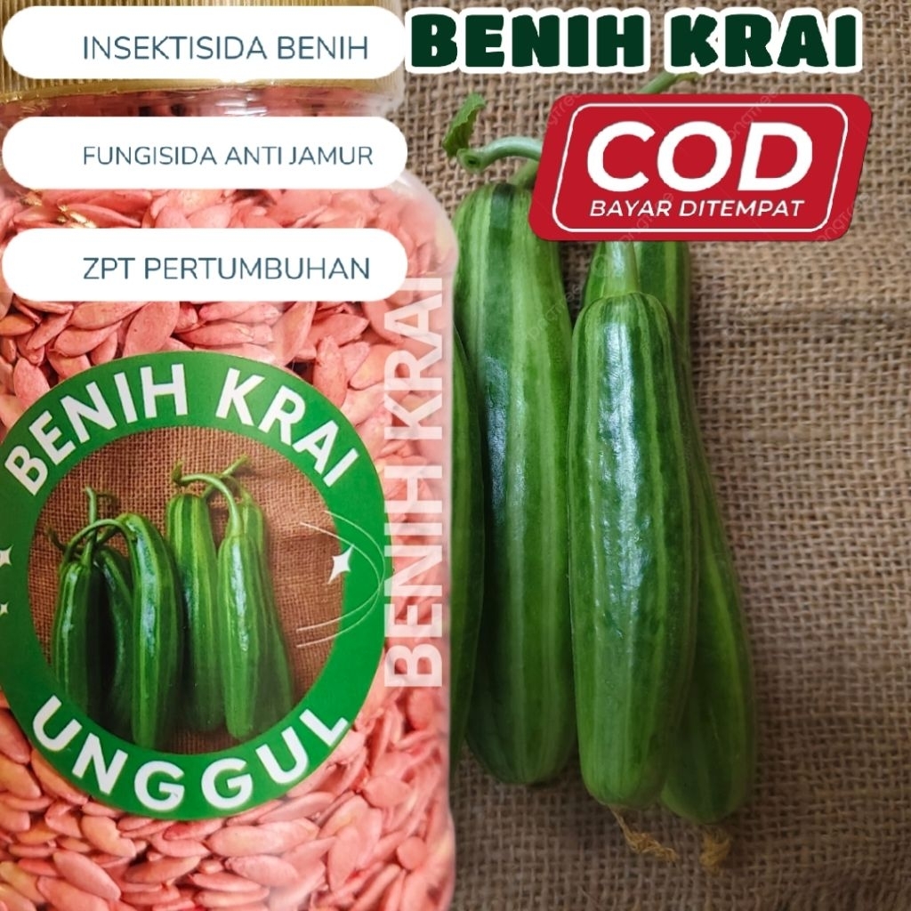Benih timun krai hijau 150 gram-+3000 butir biji krai timun benih timun krai hijau panjang