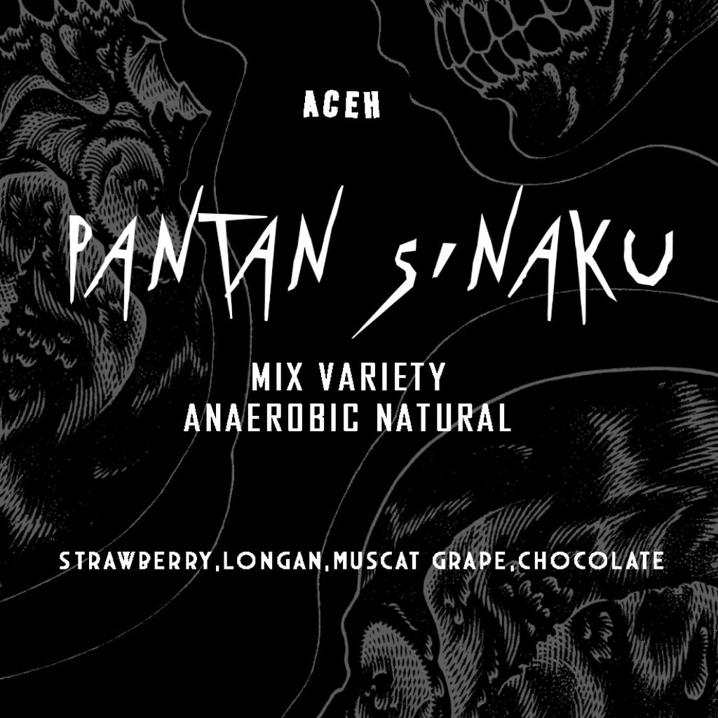 

aceh pantan sinaku anaerobic natural roasted beans coffee