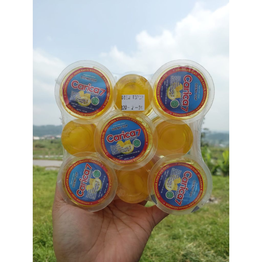 

sirup carica mini premium isi 9cup