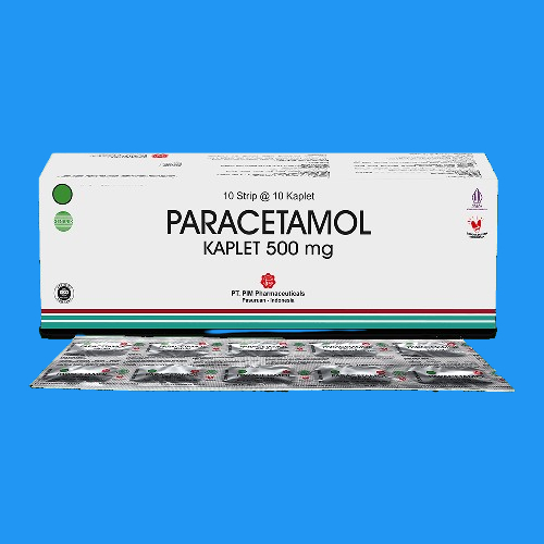 PARACETAMOL BOX PIM ISI 10 STRIP