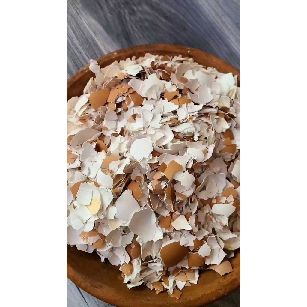 

Cangkang Telur Kualitas premium Berat 1 kg