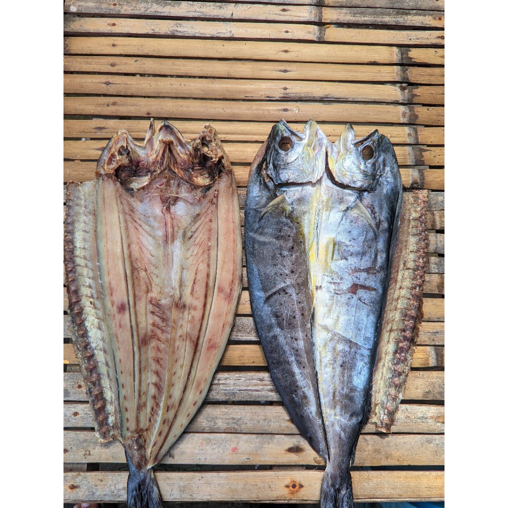 

IKAN KERING/ASIN LEMEDANG/PALANGAN/KADAPANGAN KERING