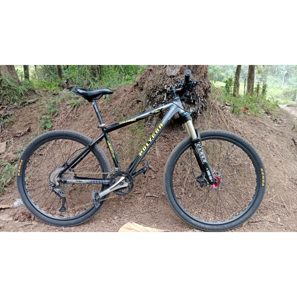 MTB Polygon Cozmic CX4 size M 27.5