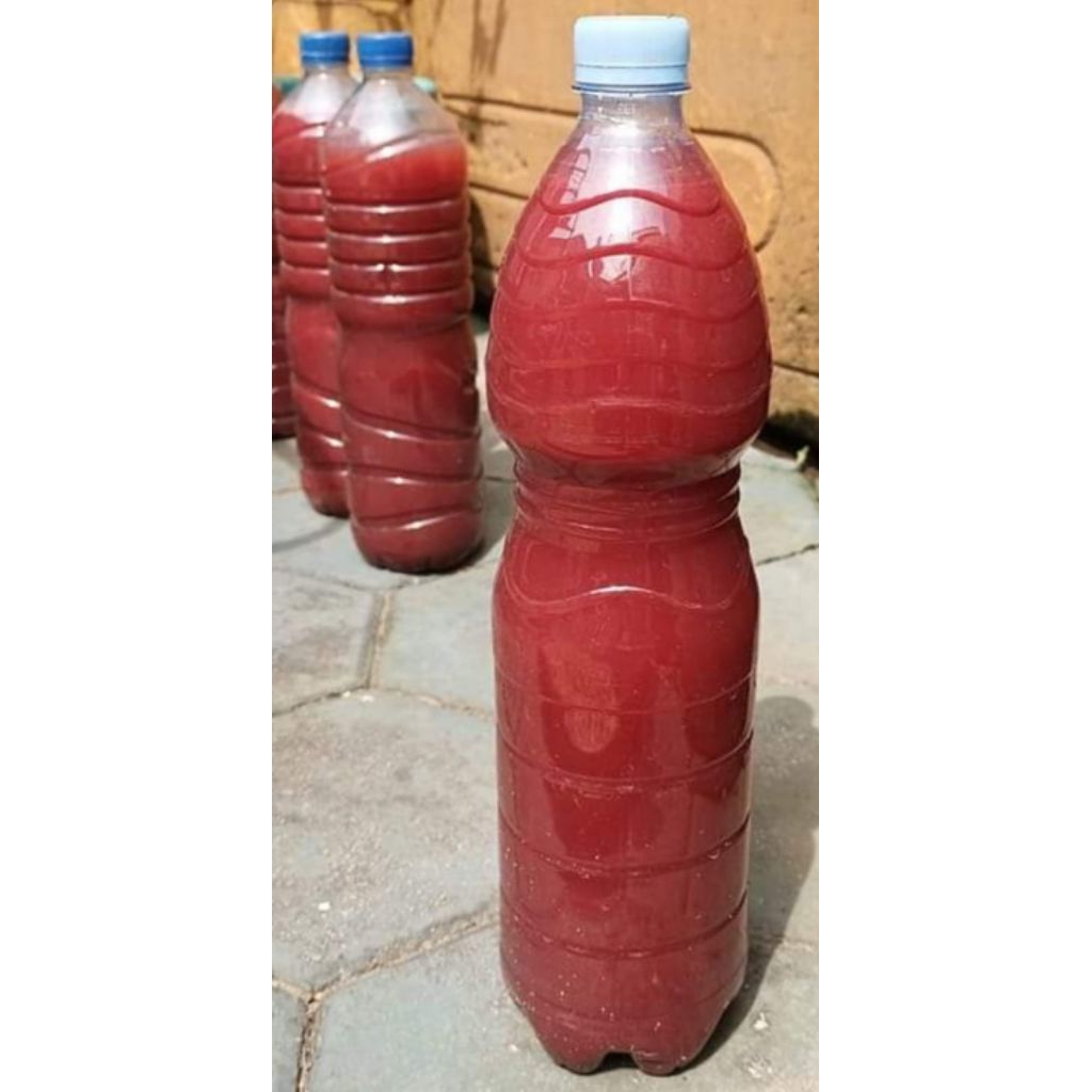 jakaba fotosintesis super