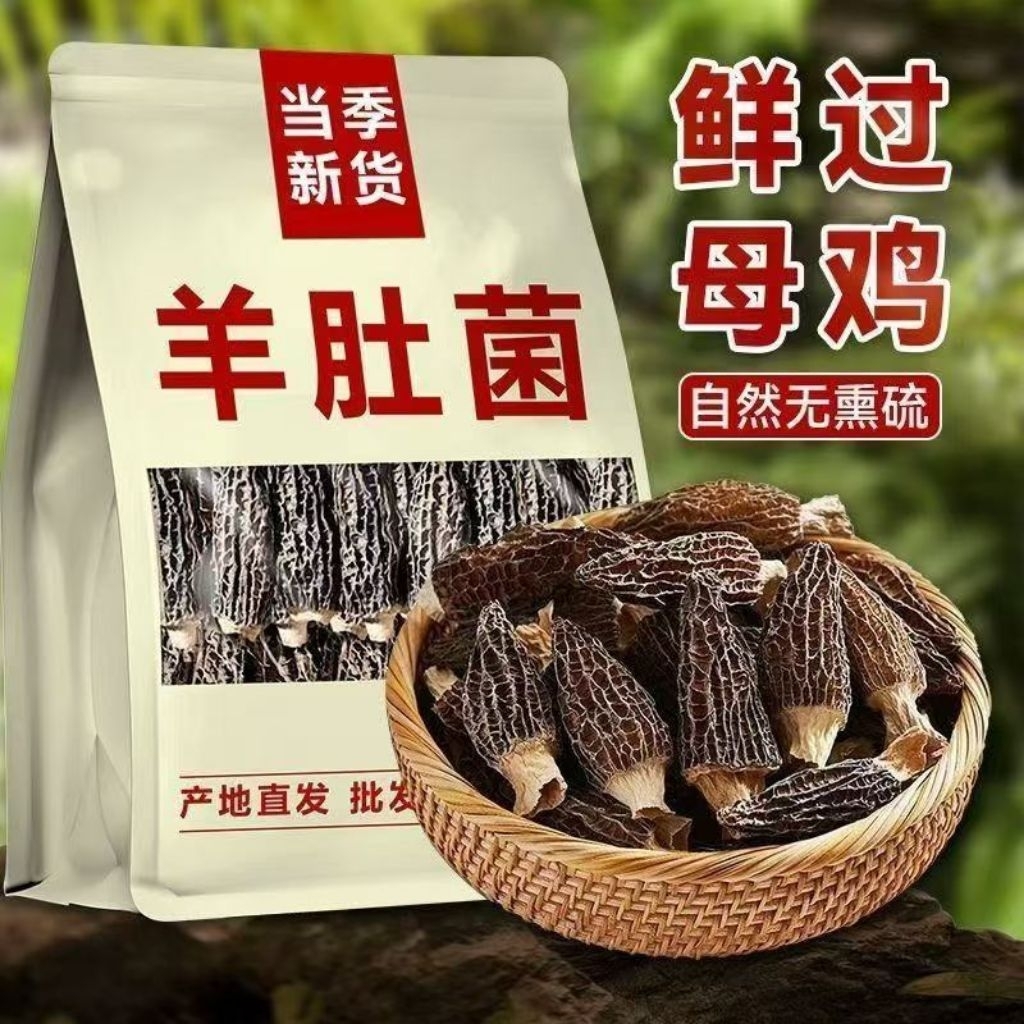 

JAMUR MOREL (MORCHELLA) - 10g - Jamur Premium Yang Du Jun Penyedap Rasa Alami