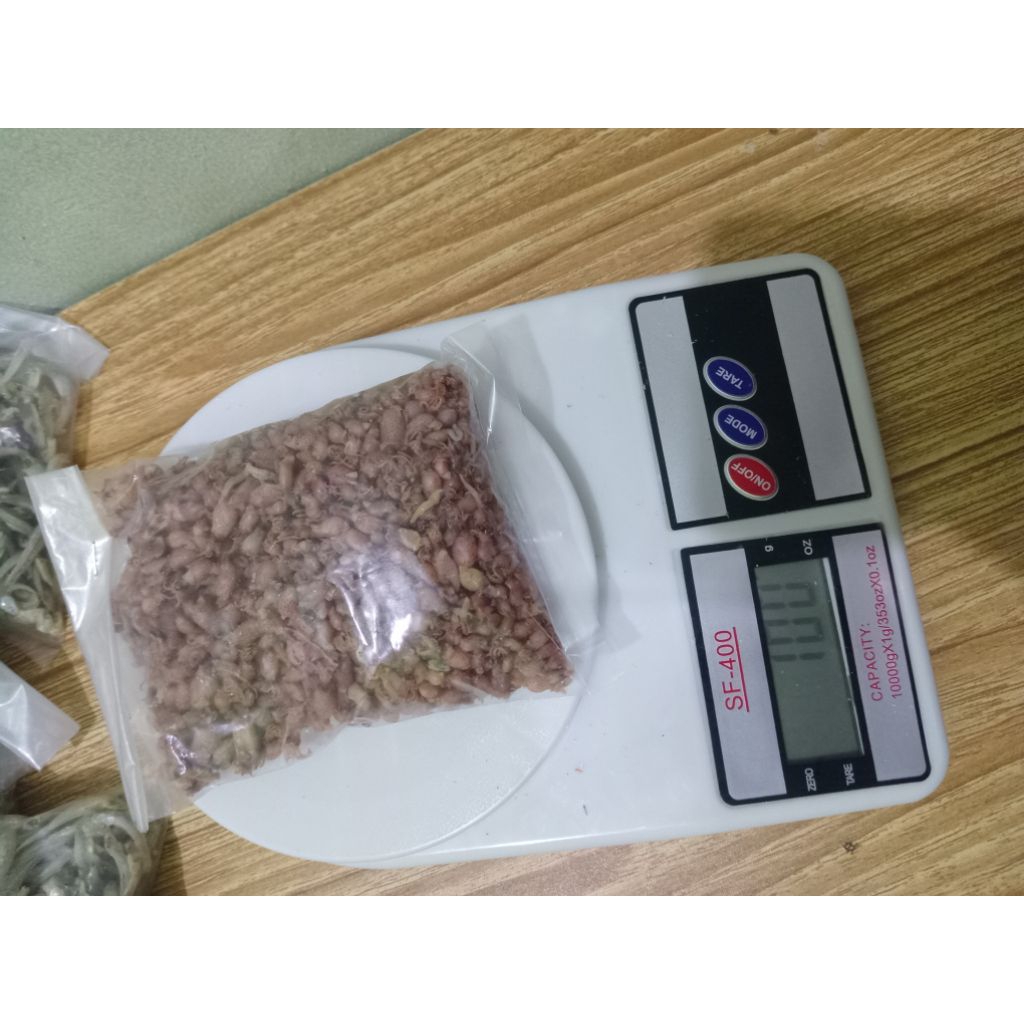 

baby cumi asin 100 gram