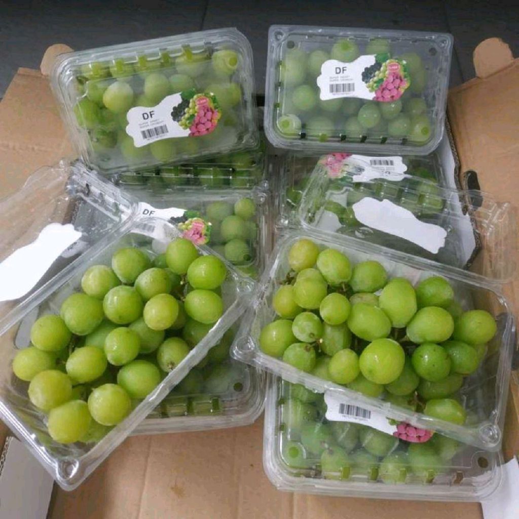 Buah anggur shine Muscat manis super import anggur hijau manis premium box isi 10 pack