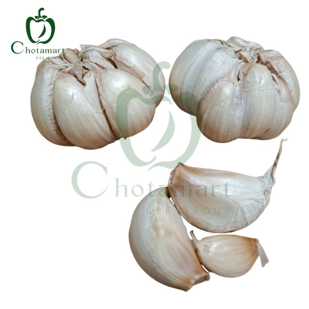 

Bawang Putih Sinco 200-250g