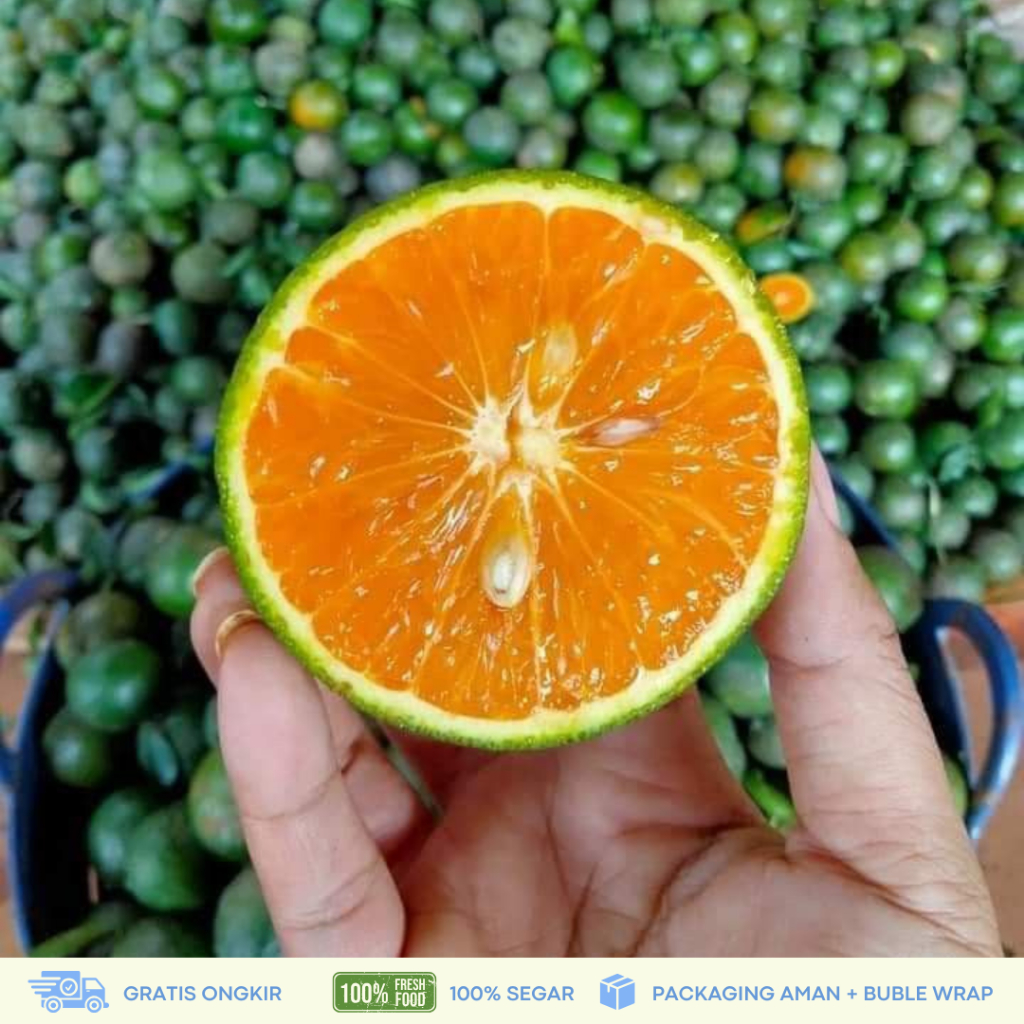 

Jeruk Peras Jawa Hijau Rasa Masam 1kg/Jeruk Peras Segar Premium