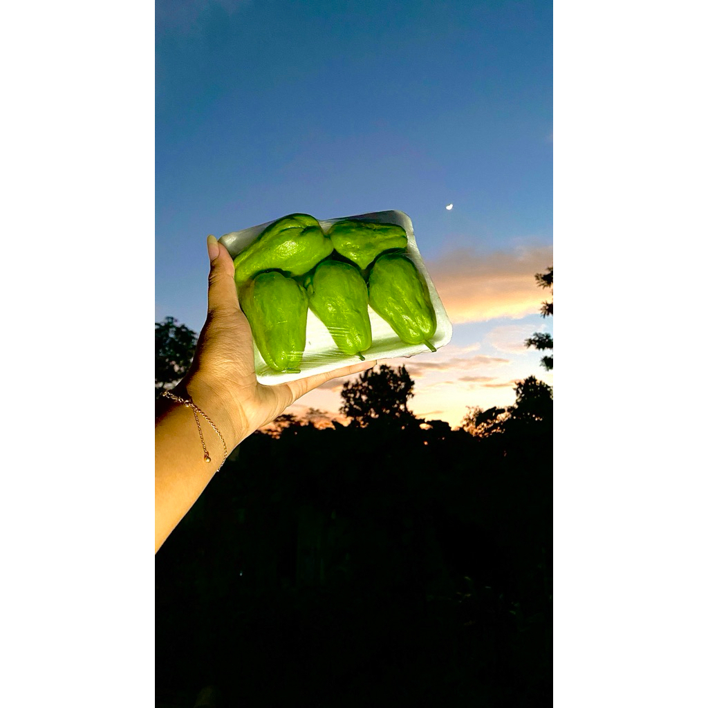 

Jipang beby / Labu siem pentil anak lalapan fres