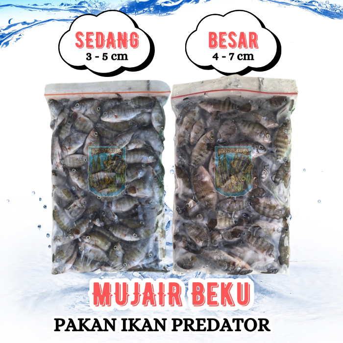 Ikan Mujair Nila Beku Fresh 500gr