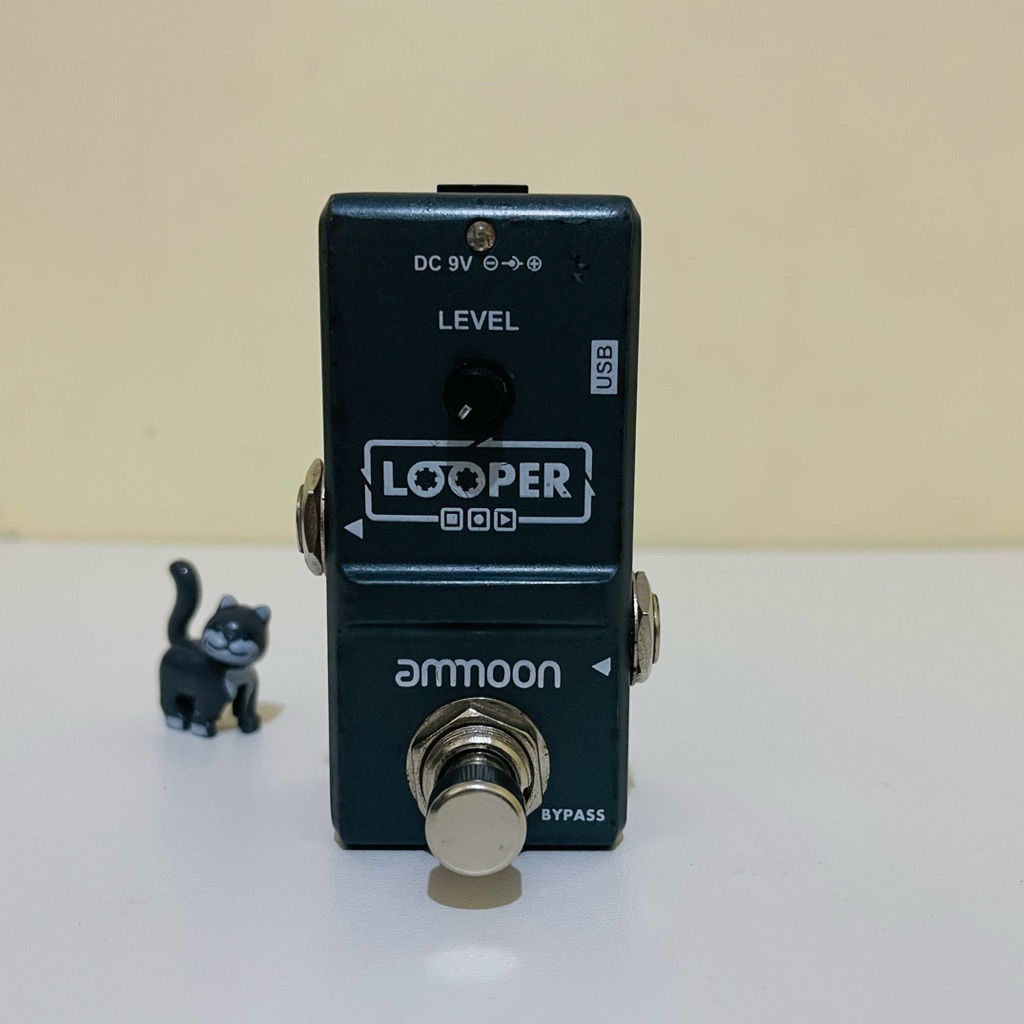 Ammoon Looper