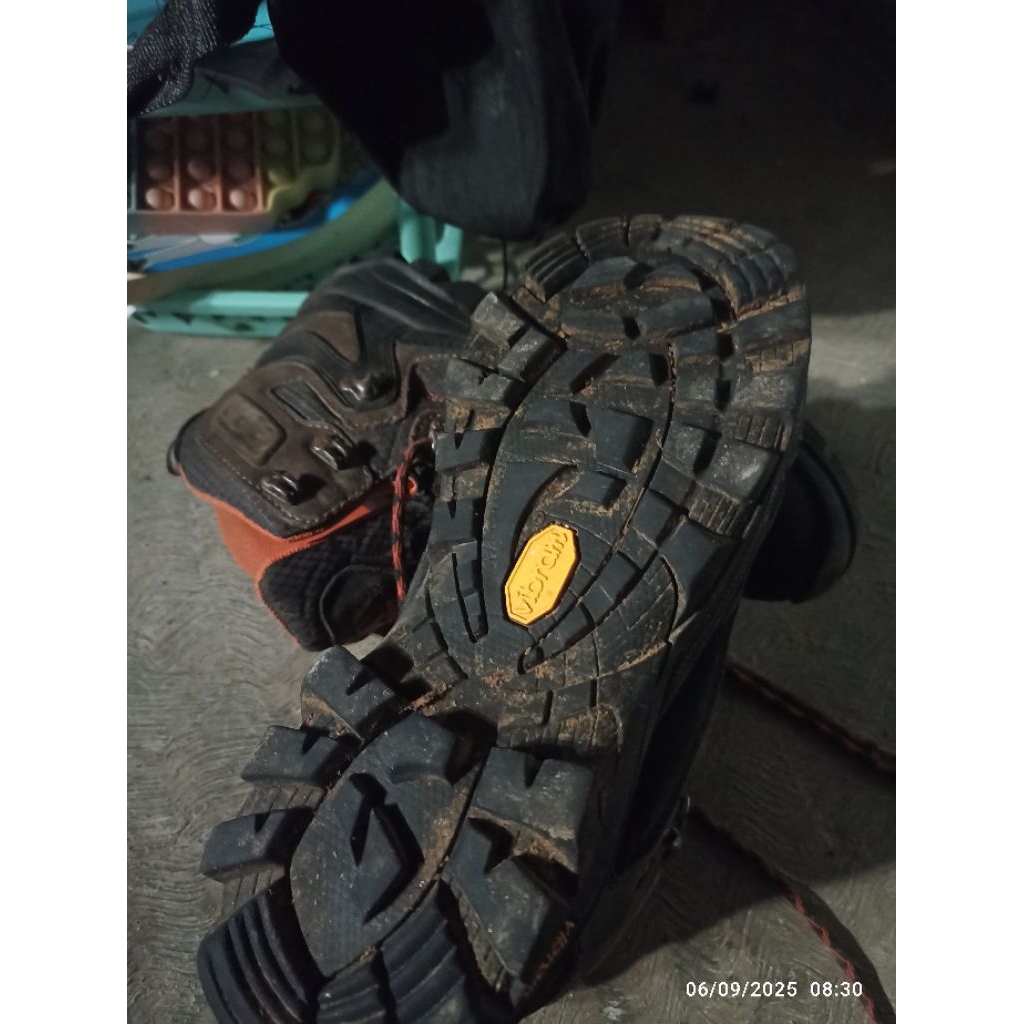 satu eiger pollock 2.0