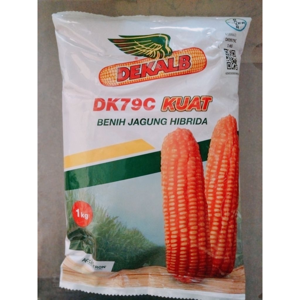 Benih Jagung F1 DK 79C 1kg