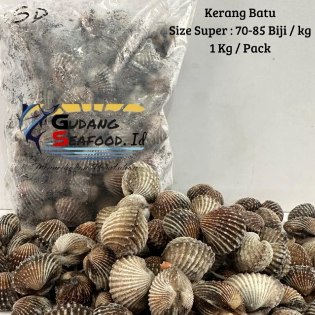 

kerang batu / dara size kasar & super berat 1 kg / pack