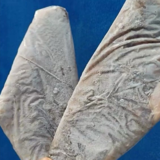 

Ikan Fillet Kakap Putih harga tertera adalah per kg