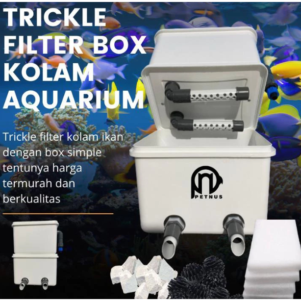 TRICKLE FILTER BOX KOLAM AQUARIUM / Trickle Filter