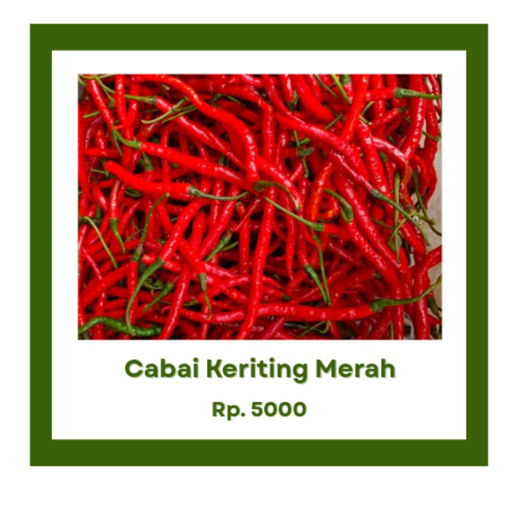 

Cabai merah keriting repack 5000