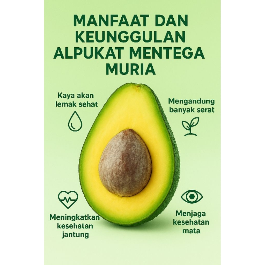

Alpukat Mentega Muria Grade B & C isi 3-6 – pulen, legit, daging tebal, Lebih Hemat, Tetap Nikmat