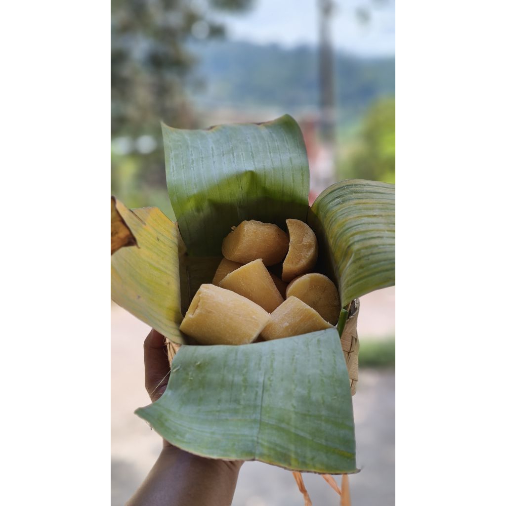 

Paket 2 Besek Tape Singkong Gembong Manis Legit Fermentasi Tradisional Oleh Oleh Khas Jawa Tengah Enak Murah Tahan Lama