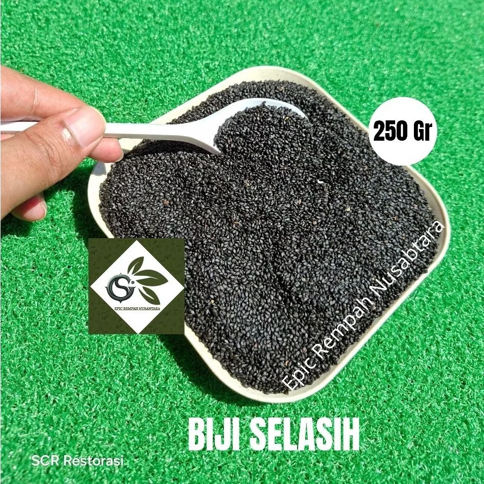 

Biji Selasih 250gr 100gr Bersih Berkualitas
