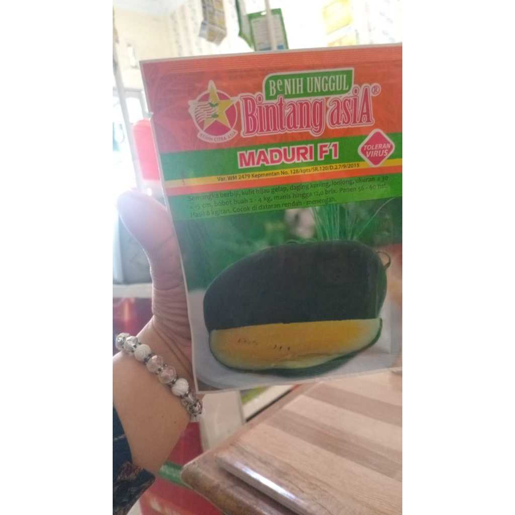 Bibit Semangka Kuning