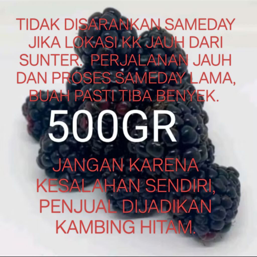 

Frozen Fruit Blackberries Buah Blackberry Beku 500gr