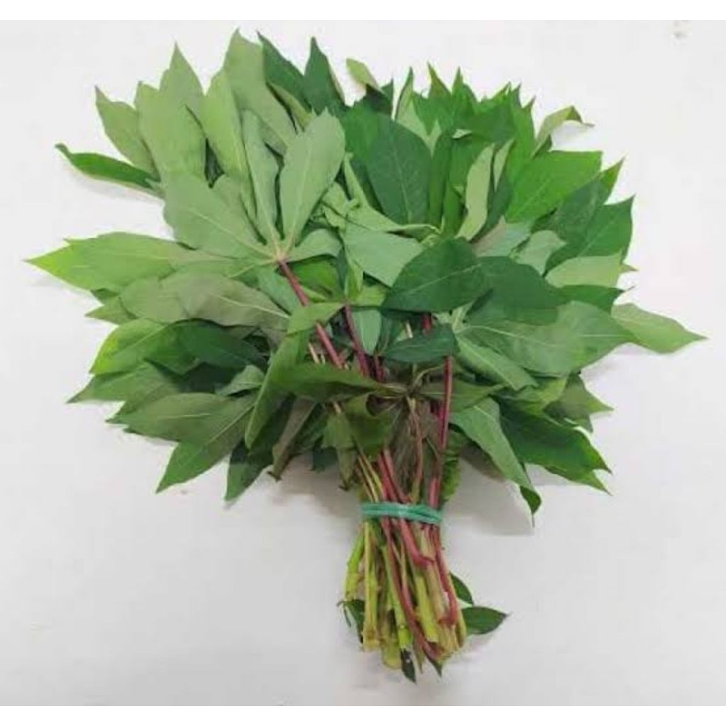 

daun singkong per iket