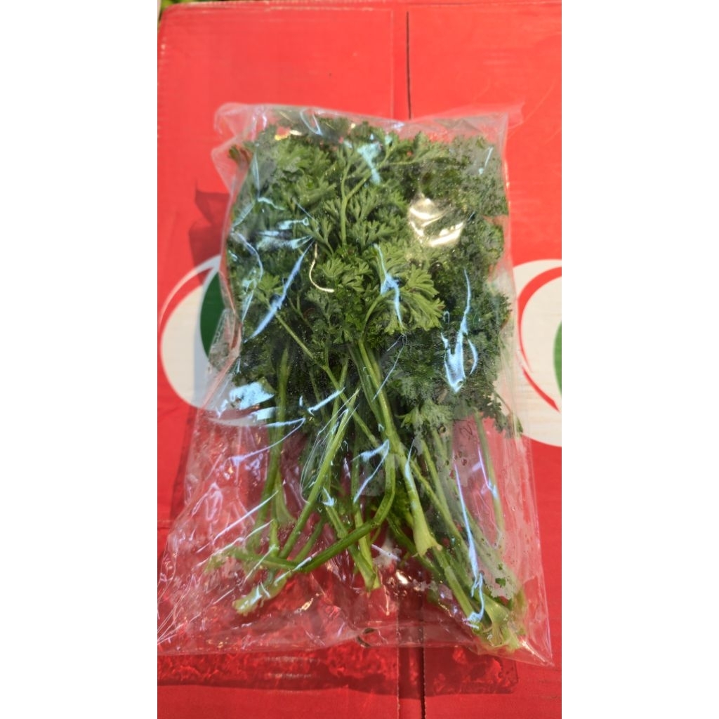 

Daun Parsley Fresh per pack kirim instan