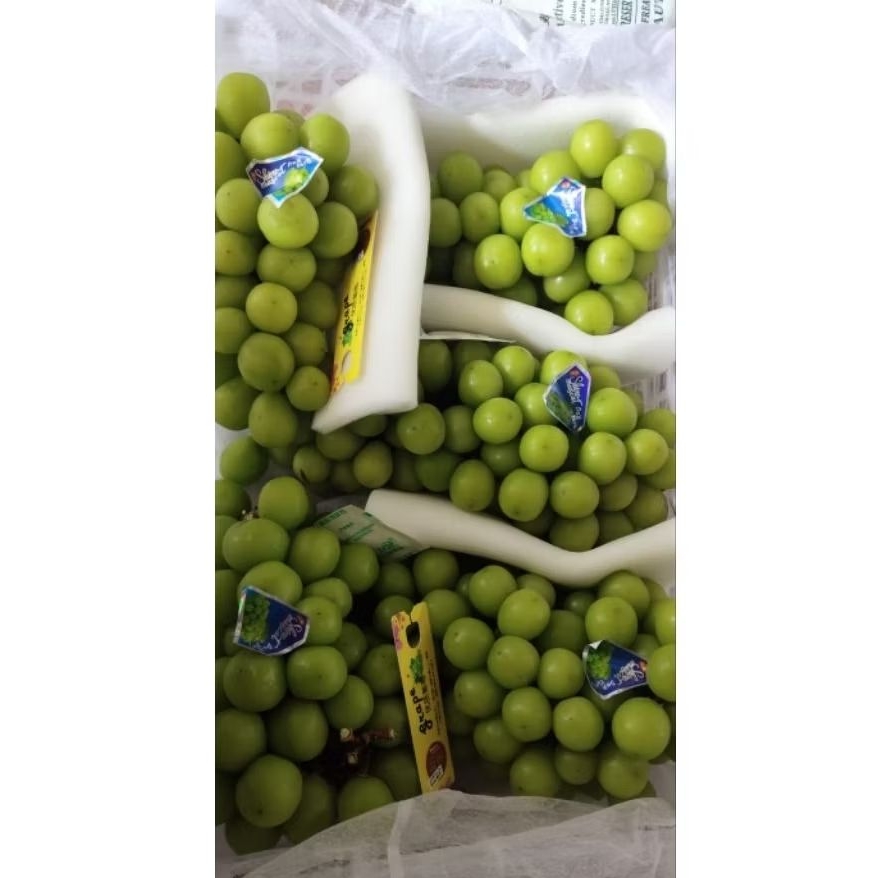 

anggur Muscat fresh 1 kg