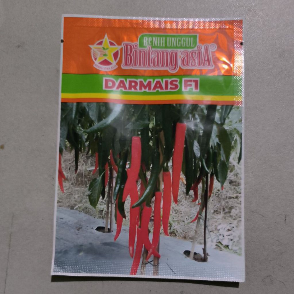 benih cabe besar DARMAIS F1 10gr bintang asia