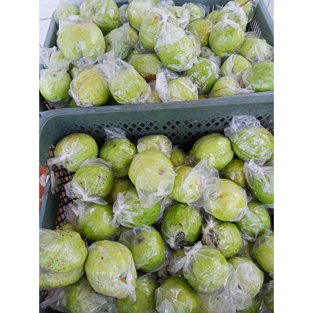 

Jambu kristal Random 1 KG