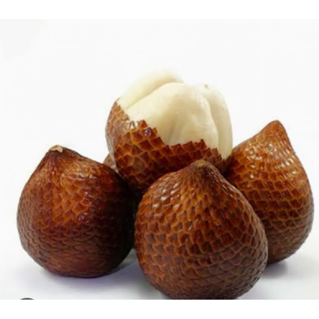 

salak pondoh kode HDD86