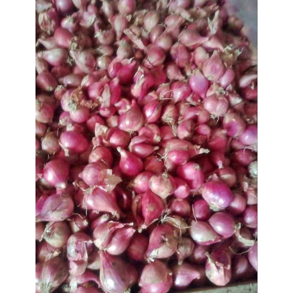 

bawang merah kering ukuran 1kg