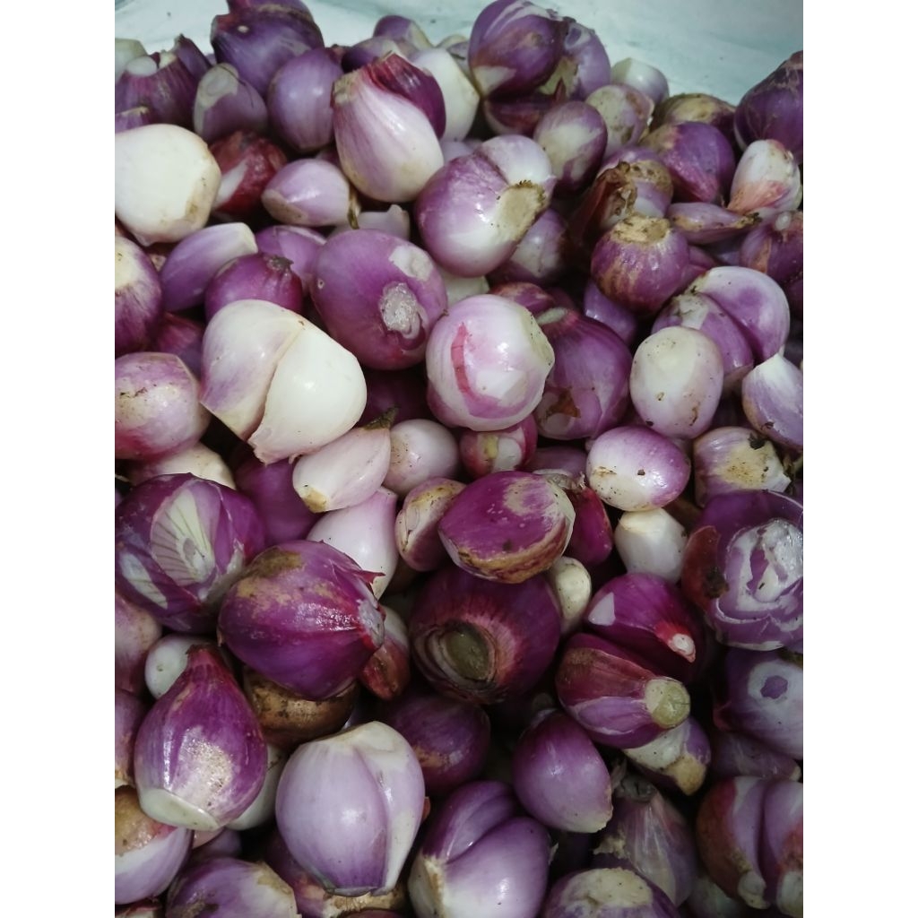 

bawang merah kupas