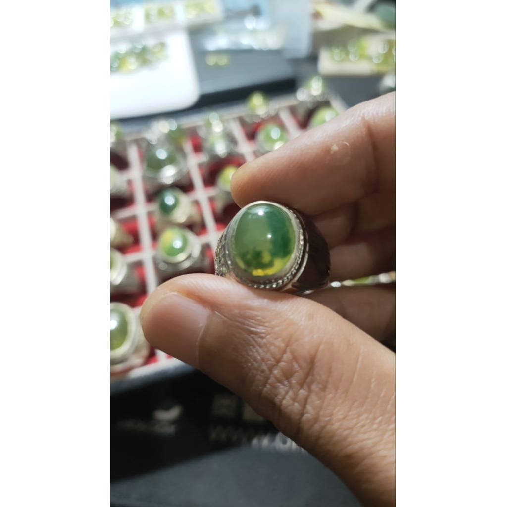 idocrase lumut sungai Dareh pucuk pisang totol sayur.