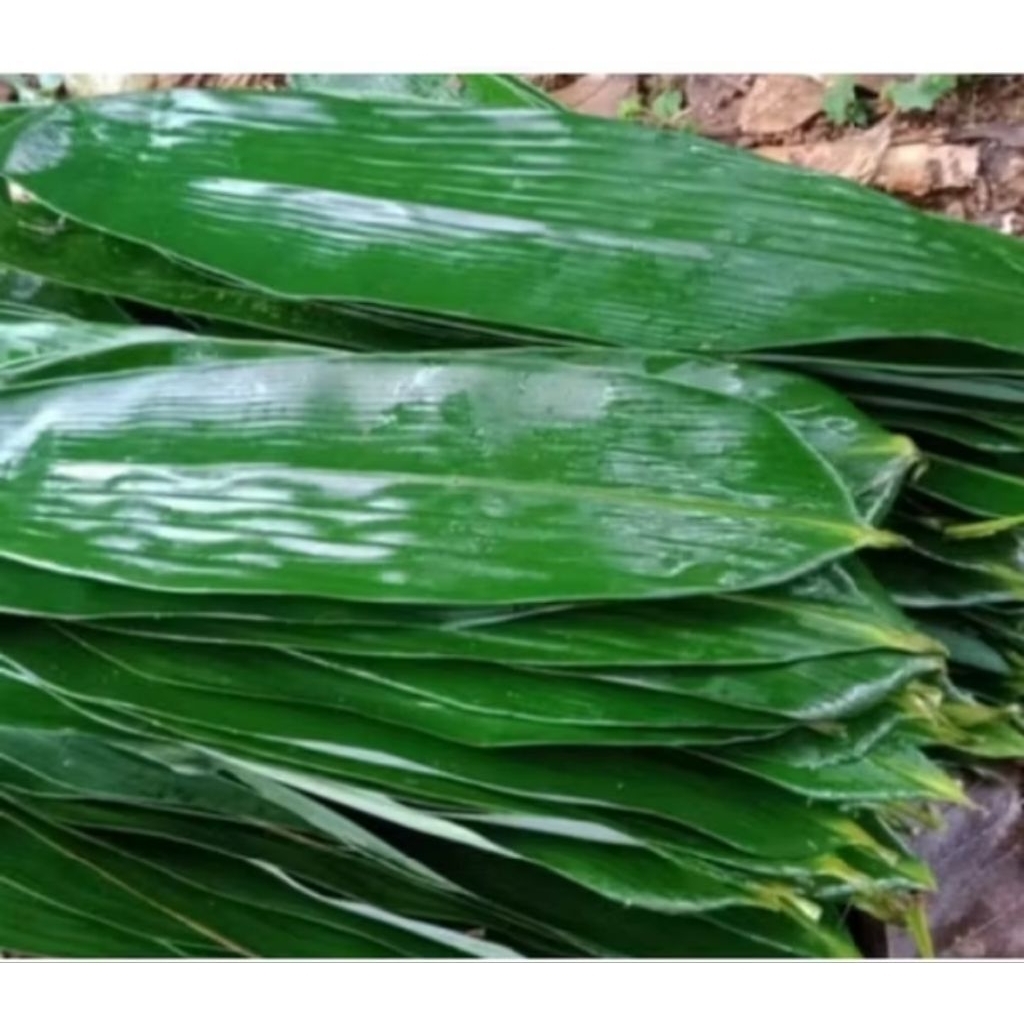 

daun bambu fress, buat bungkus bakcang