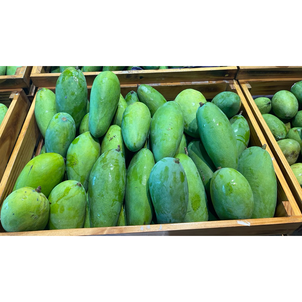 

Mangga Kiojay/Bangkok 900-1000gr