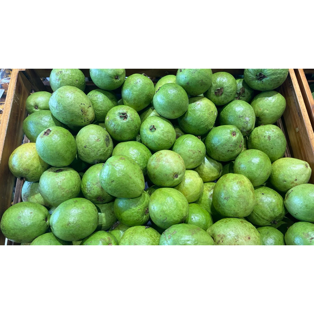 

Jambu Klutuk Curah 900-1000gr